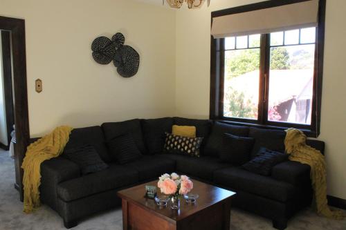 Casa Felina Apartment in Island Bay Casa Felina Apartment in Island Bay