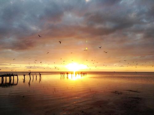 This photo about Hotel Perla del Mar shared on HyHotel.com