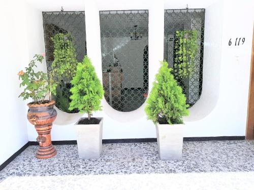 This photo about Hotel Casa Ballarin shared on HyHotel.com