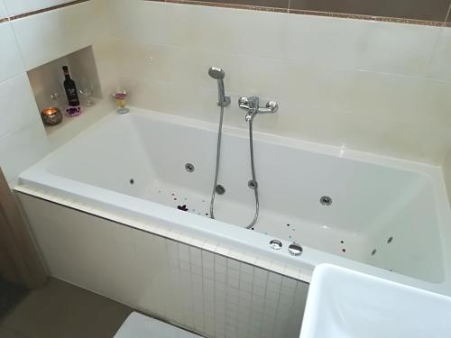 บริการและสิ่งอำนวยความสะดวก, Penzion Vanessa in ยุนดรอฟ บริการและสิ่งอำนวยความสะดวก, Penzion Vanessa in ยุนดรอฟ