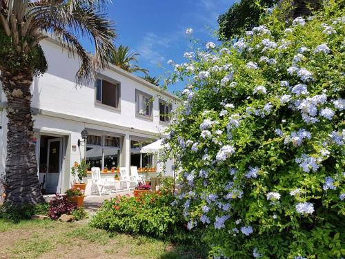 This photo about Hotel Puerto las Palmas shared on HyHotel.com