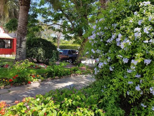 This photo about Hotel Puerto las Palmas shared on HyHotel.com