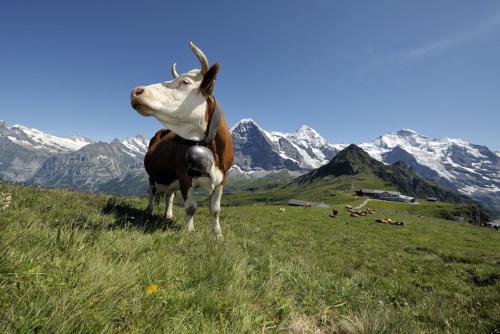 This photo about River Townhouse shared on HyHotel.com