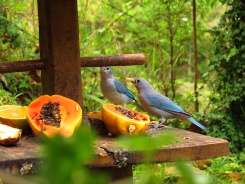 This photo about Pousada Moria shared on HyHotel.com