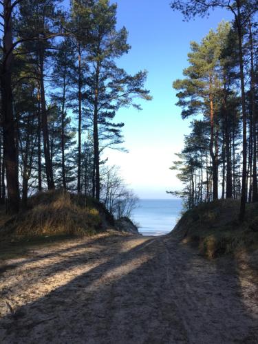 plaža, Aquarium - komfortowe pokoje nad samym morzem in Stegna plaža, Aquarium - komfortowe pokoje nad samym morzem in Stegna