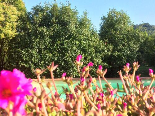 Swimming pool, Casale Eredita in Orte Swimming pool, Casale Eredita in Orte