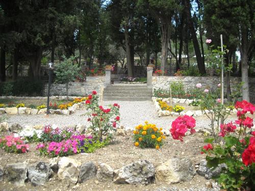 This photo about Villa Enrico Fermi shared on HyHotel.com