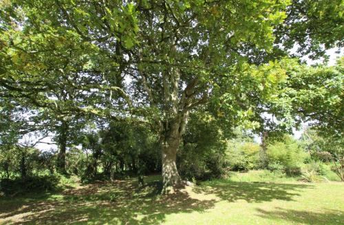 This photo about Gites Du Manoir de Savigny shared on HyHotel.com