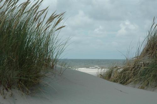 Beach, Wadzand in De Koog Beach, Wadzand in De Koog