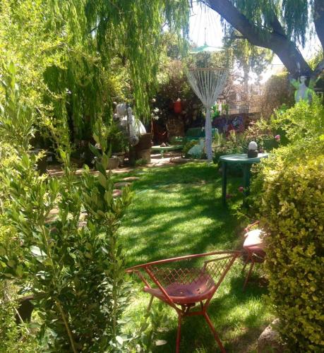 Garten, Calvinia Magic Garden in Calvinia Garten, Calvinia Magic Garden in Calvinia