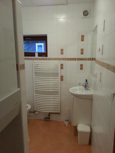 Bathroom, Harrachov Apartman in Ryzoviste Bathroom, Harrachov Apartman in Ryzoviste