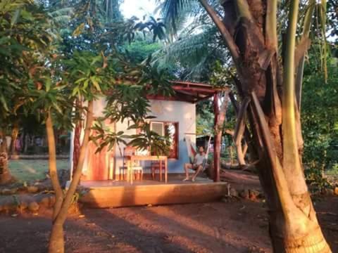 Rosa's Lake Cabins in Mérida Rosa's Lake Cabins in Mérida
