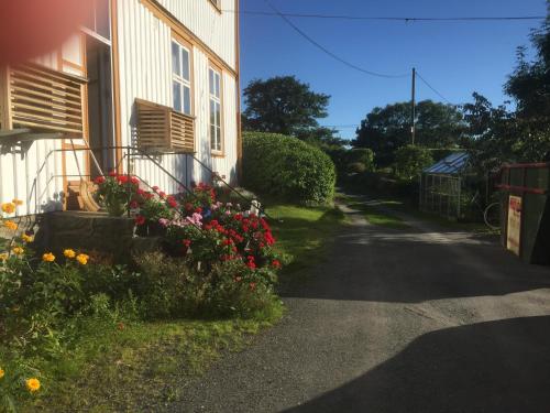 Ulaz, Ferieleilighet pa Tromøy, Arendal in Arendal Ulaz, Ferieleilighet pa Tromøy, Arendal in Arendal