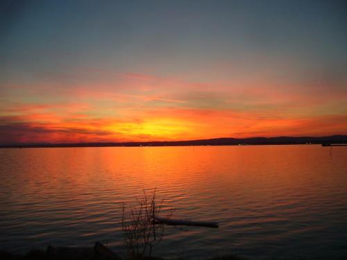 maison atypique les pieds dans l'eau in 海濱 maison atypique les pieds dans l'eau in 海濱