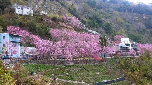 Lala Shan 5.5K Farm Stay in Fuxing District Lala Shan 5.5K Farm Stay in Fuxing District