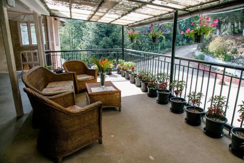 陽台/露台, 科希馬阿拉杜拉尼拉瑪亞休閒旅館 (Niraamaya Retreats Aradura Kohima) in 科希馬 陽台/露台, 科希馬阿拉杜拉尼拉瑪亞休閒旅館 (Niraamaya Retreats Aradura Kohima) in 科希馬