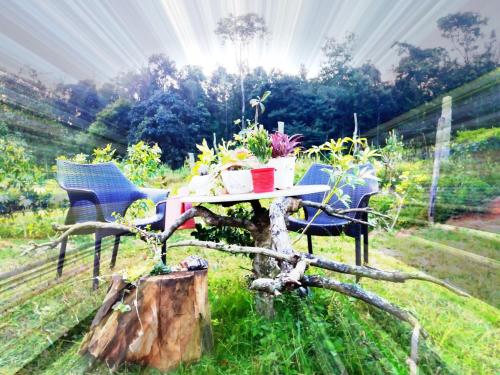 المنطقة المحيطة, SilverShine Homestay in Aladagudde المنطقة المحيطة, SilverShine Homestay in Aladagudde