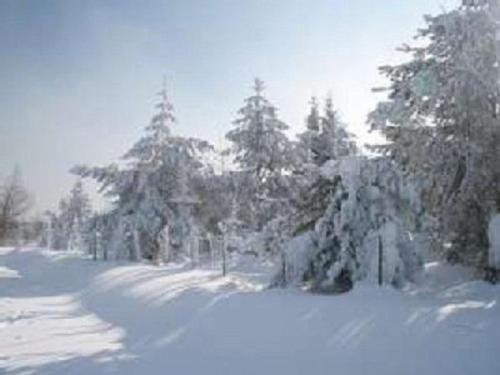 Haus Bergblick Bay. Wald in Prackenbach Haus Bergblick Bay. Wald in Prackenbach
