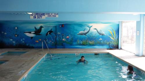 泳池, Bermuda Sands On The Boardwalk in 美特爾海灘 (SC) 泳池, Bermuda Sands On The Boardwalk in 美特爾海灘 (SC)