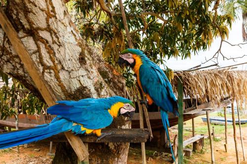 This photo about Amazonia ParkSuites shared on HyHotel.com