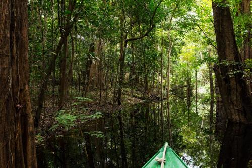 This photo about Amazonia ParkSuites shared on HyHotel.com