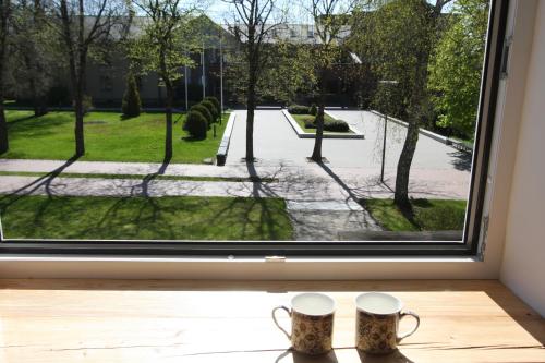 Kernaves centras in 凱爾納維 Kernaves centras in 凱爾納維