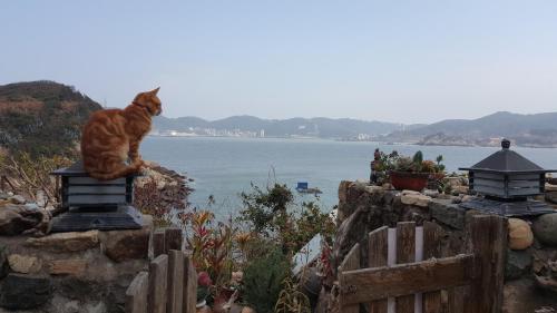 Furen Homestay in Ozok Matsu Furen Homestay in Ozok Matsu