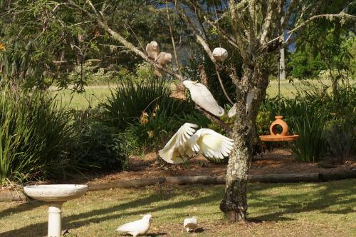 Vicarage View Cottage in Kangaroo Valley Vicarage View Cottage in Kangaroo Valley
