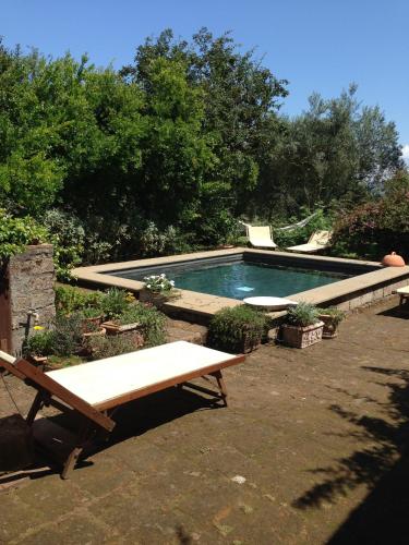 Swimming pool, Bed And Breakfast Dopo Il Settimo Cielo in Lubriano Swimming pool, Bed And Breakfast Dopo Il Settimo Cielo in Lubriano
