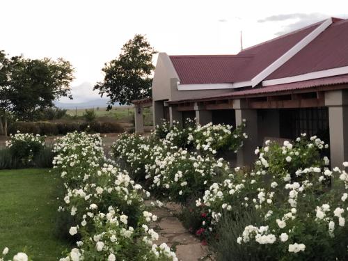 Entrance, Mountain View Country Guest House in Cradock Entrance, Mountain View Country Guest House in Cradock