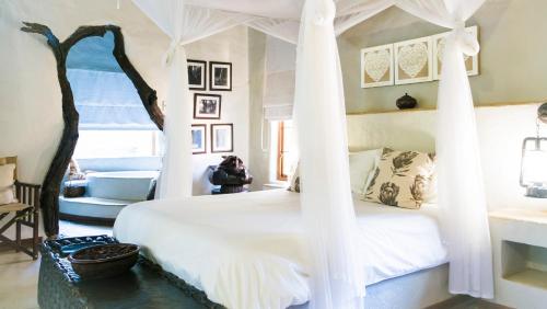 Moholoholo Ya Mati in Hoedspruita Moholoholo Ya Mati in Hoedspruita