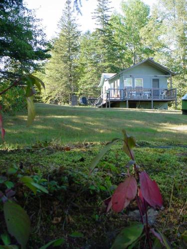 在meiguo.com看到的Bunchberry的介绍图片