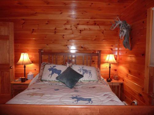 在meiguo.com看到的Williamson的介绍图片