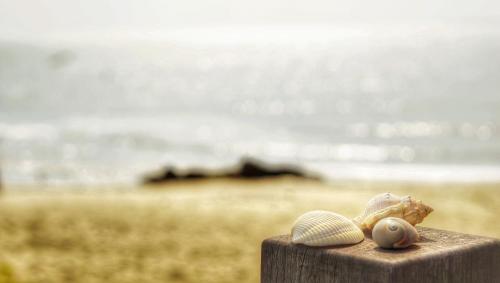 Beach, red roof home stay in Kinmen Islands Beach, red roof home stay in Kinmen Islands