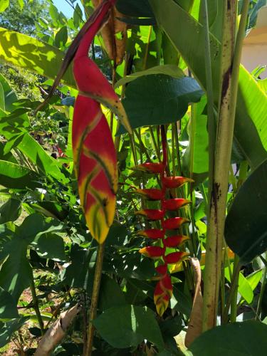 This photo about Suenos Tranquilo shared on HyHotel.com