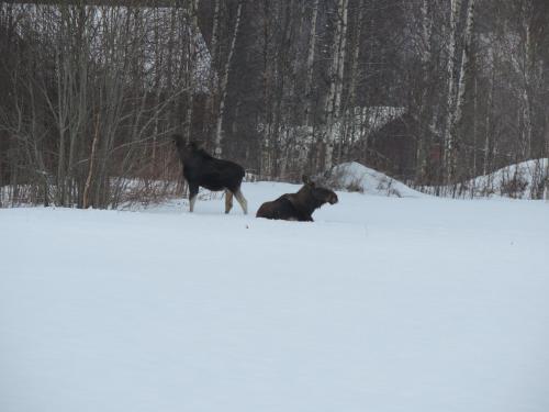 This photo about Ekesberget Stugby shared on HyHotel.com