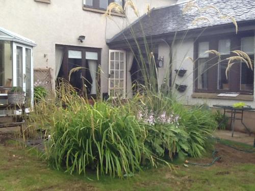 Arron House in Hamilton Arron House in Hamilton