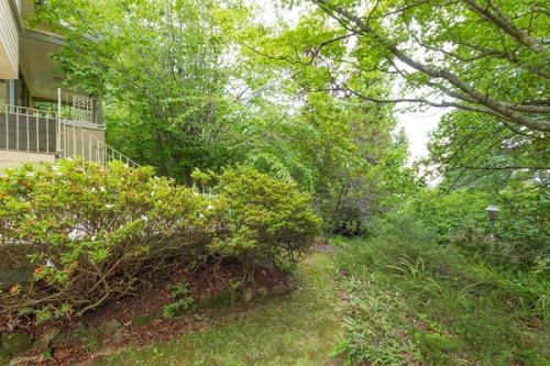 This photo about Tanglewood shared on HyHotel.com