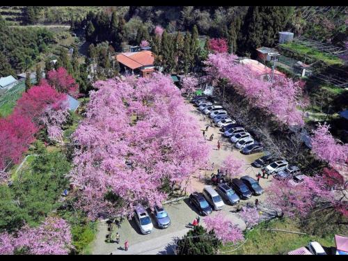 Lala Shan 5.5K Farm Stay in Fuxing District Lala Shan 5.5K Farm Stay in Fuxing District