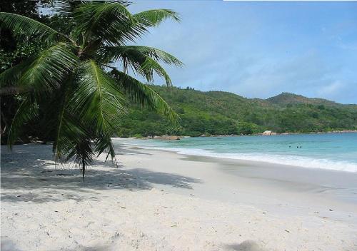 Beach, Apartamento Del Cerro in Samana Beach, Apartamento Del Cerro in Samana