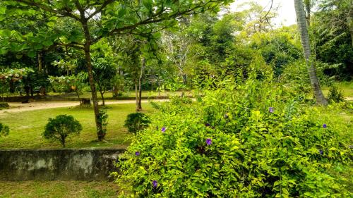 This photo about Deer Garden Guest shared on HyHotel.com