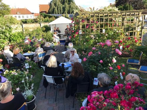 Attractions, Hotell Turistgarden i Simrishamn in Simrishamn Attractions, Hotell Turistgarden i Simrishamn in Simrishamn