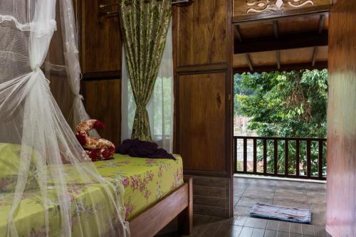 Rain Forest Guest House in Bukit Lawang Rain Forest Guest House in Bukit Lawang