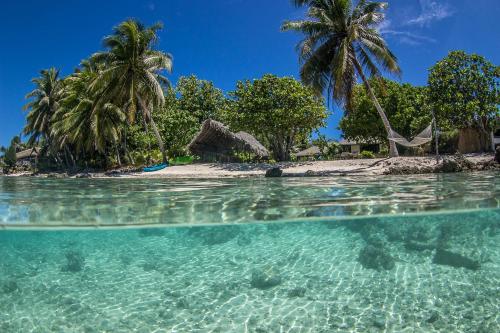 Beach, Le Coconut Lodge in Rangiroa Beach, Le Coconut Lodge in Rangiroa