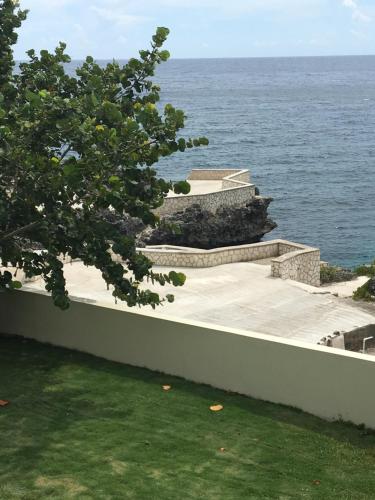 Coral Seas Cliff, Negril Coral Seas Cliff, Negril