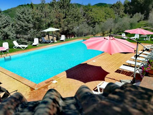 This photo about Agriturismo Longetti shared on HyHotel.com