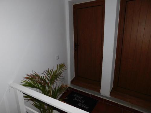 Chabela's Penthouse in ตาราคาเรโค Chabela's Penthouse in ตาราคาเรโค