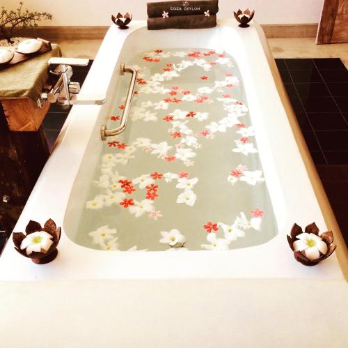 Hot tub, Coza Ceylon in Mount Lavinia Hot tub, Coza Ceylon in Mount Lavinia