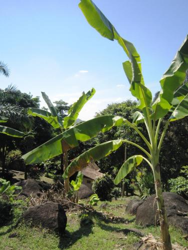 パノム ベンチャ マウンテン リゾート10