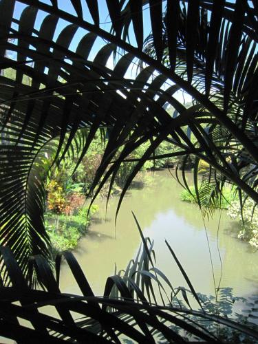 Phanom Bencha Mountain Resort in Khao Phanom Phanom Bencha Mountain Resort in Khao Phanom
